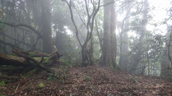 守城大山-2017/08/12177455