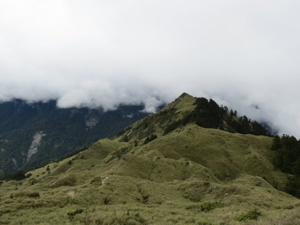 合歡山東峰-尖山-小奇萊-石門山2513139