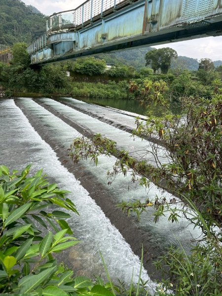 烏窟子山、獵貍尖山、黃櫸皮寮山、翡翠之眼O走2809860