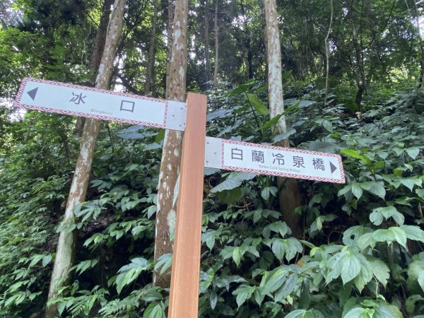 20250705-Ep.02白蘭溪古道-2025森遊竹縣皮皮獅探險隊2851389