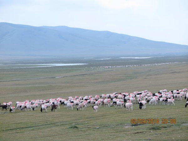 北疆壯麗風光分享425594