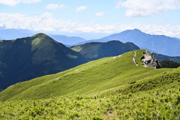爬不膩的 合歡北峰2907027