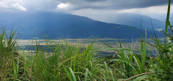 2023-06-23萬人山、六十石山步道群、羅山村竹林步道2193604