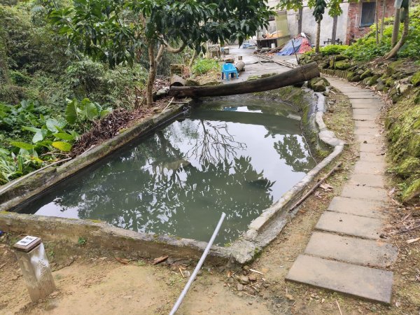 微笑山線：【天上山系】望月亭桐花段3001596