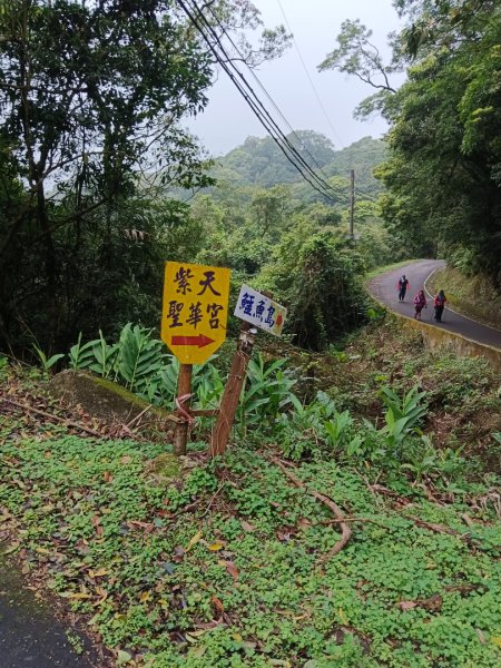 240303雷公埤山（五郎寮山）+鱷魚島景觀步道+小格頭獅頭山2444243