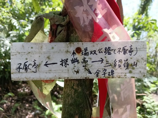 雙溪區不厭亭+牡丹山+樹梅坪+鷹石岩山神廟+不厭亭+奉憲示禁碑+三貂崙+不厭亭8字走2766293