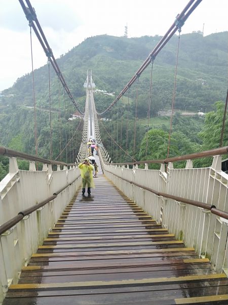 太平雲梯吊橋步道397177