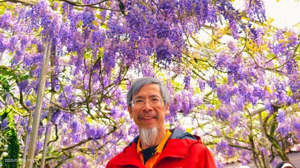 追花是簡單的快樂，賞花是恬淡的幸褔 4/32751455