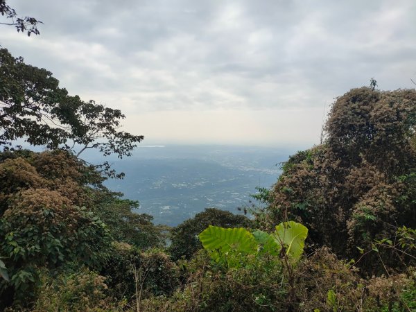 嘉義［阿拔泉山稜線步道］+太平雲梯2235719