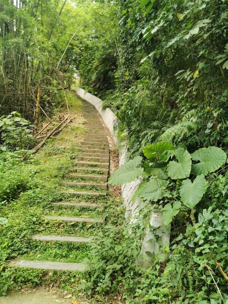 坑內坑森林步道-體驗生態與森林浴的進香道1049360