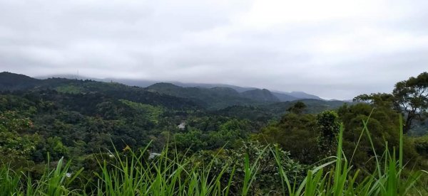 鵲子山步道 小百岳1304413