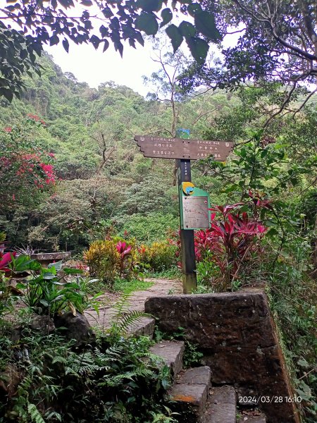 【臺北大縱走4】風櫃嘴→雙溪溝古道→五指山古道→大崙頭山北面步道→許願步道→圓覺寺步道→大溝溪→大湖2469146