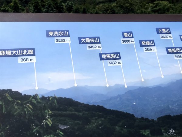 薑麻園桐花步道202006271965408