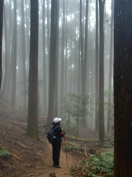 長壽山、肥崠山、醜崠山、大崠山、大崠山經建版2931617