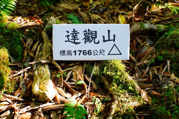 桃園 復興 達觀山、拉拉山3101844