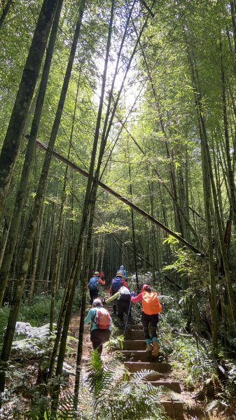 精彩的水社大山行|白石山土地公廟|Great Mt. Shuishe|쉐이써따신|峯花雪月2263864