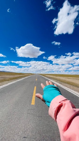 川藏318熱門的卡點-尼瑪-當惹擁措-大地之樹-雅丹地貌聖象天門2905187