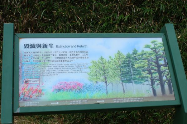 初探玉山國家公園塔塔加193700