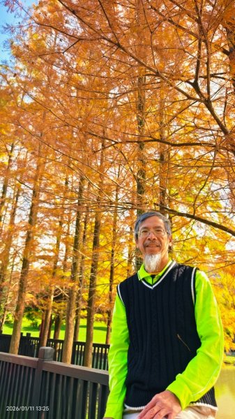 #花卉試驗中心 #永公路500巷 #平菁街42巷 #原住民公園 #士林官邸 1/42980409