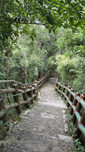 941（旗尾山2905663