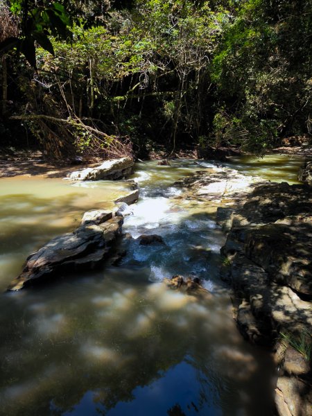 2024-08-22 澀水森林步道2578444