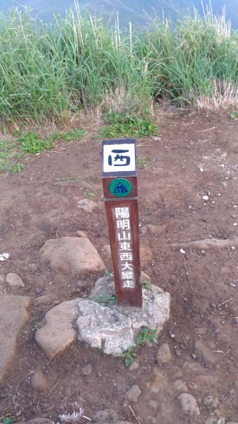 七星主東日出304802