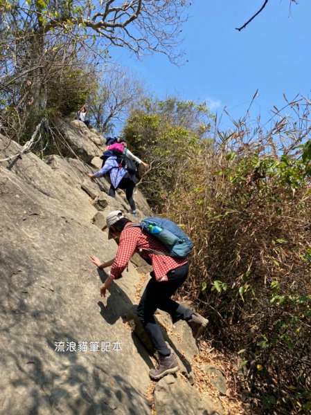 【小百岳】旗尾山，旗靈縱走，步道巨石錯落，攀繩陡坡，具有挑戰性2289336