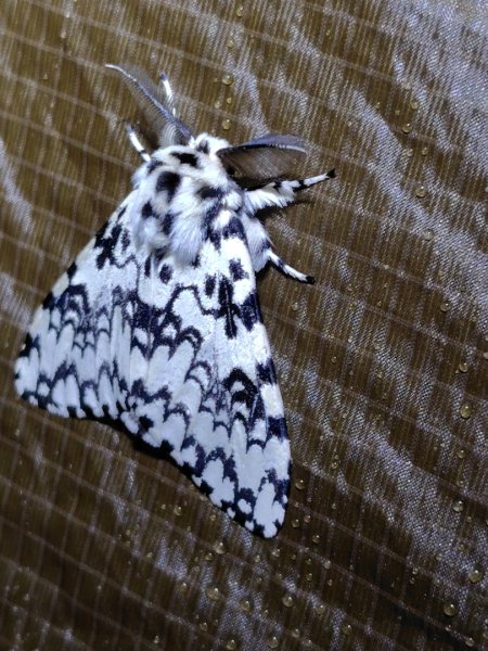 大竹溪山連走鞍輪名山3006895