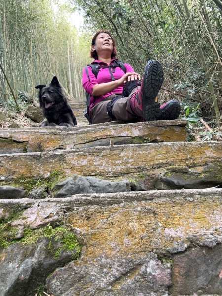 嘉雲二尖山、大尖山2734873