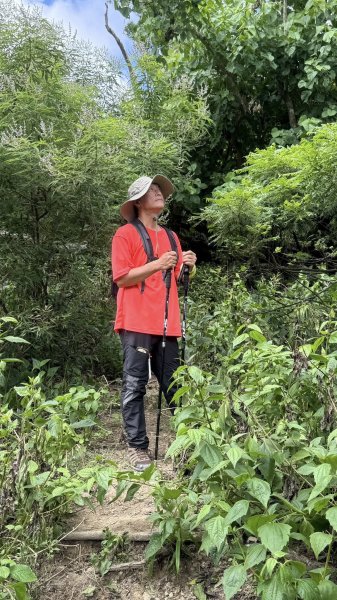 20250811小百岳大山母山2858850