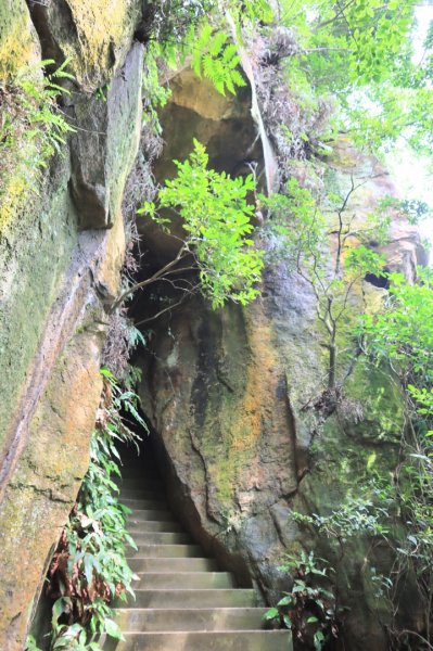 迎日石-外南勢角山-一線天-南勢角山-外挖子山2804488