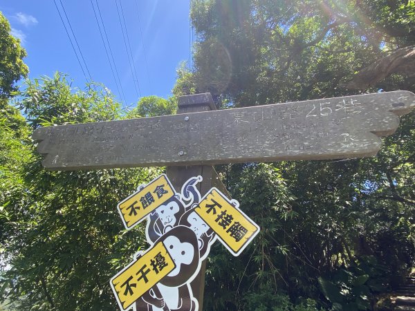 《陽明山秘境健行｜翠峰瀑布 × 天母古道 夏日涼爽路線》2852233