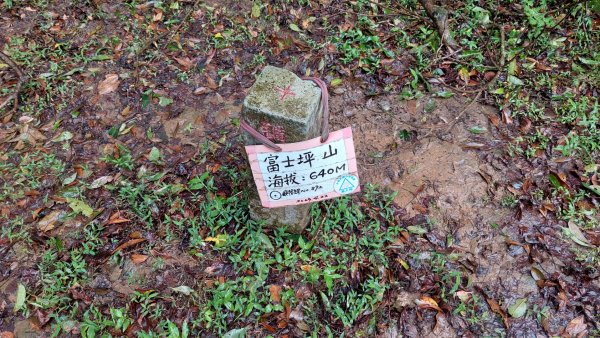 陽明山後花園，百年靜美牧牛山徑，古道草原精華連走2787730