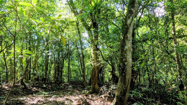 梅竹蹊山,麻竹坑山,苕谷瀑布,蝙蝠山2883308