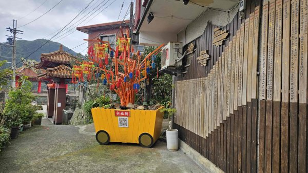 20260312瑞芳砲台山-水圳路3015924