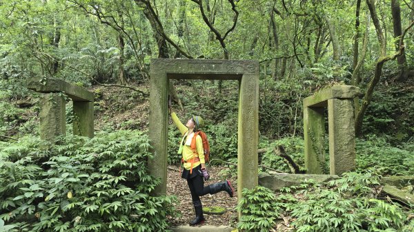 陽明山秘境，涼爽水圳步道，鹿堀坪古道，富士坪古道，夏日戲水與溯溪天堂，首選鹿堀坪（頭前溪）瀑布。2796255