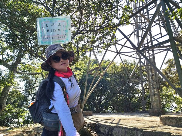 20251216太平山石門山小粗坑山O型+蕃薯藤TINA廚房2972578