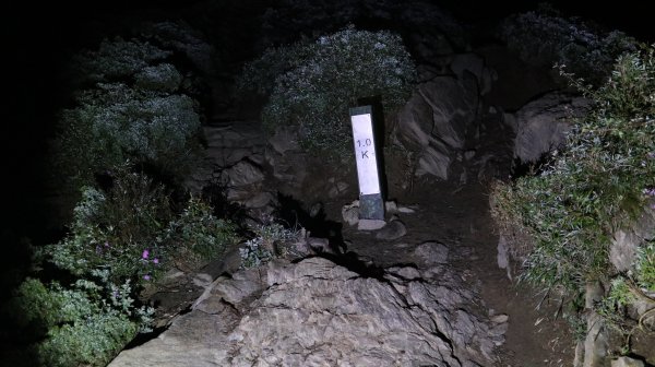 合歡北西峰登山健行趣(百岳34號＆82號)1805799