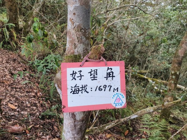 嘉南雲峰、石壁山登山步道（小百岳）1351709