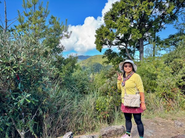 觀霧-榛山步道2926050