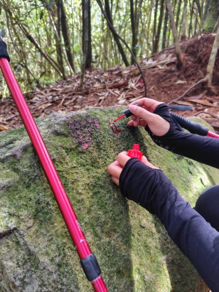 長壽山、肥崠山、醜崠山、大崠山、大崠山經建版2931572