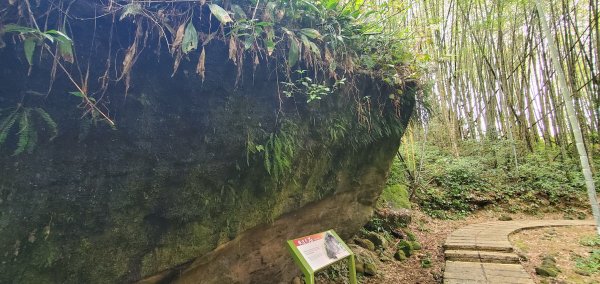 2025-01-18頂湖步道2694207