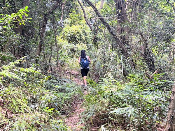 三段崎古道2835522