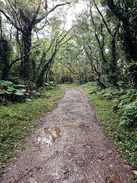 2026年臺北大縱走第一段：關渡至二子坪3010858