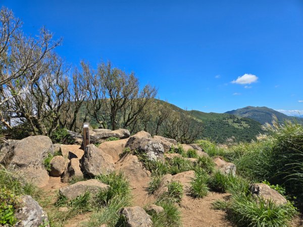 大屯主峰-連峰步道環形（小百岳）2904371