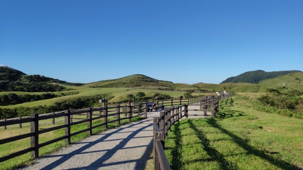 頂山-石梯嶺-擎天崗1558868