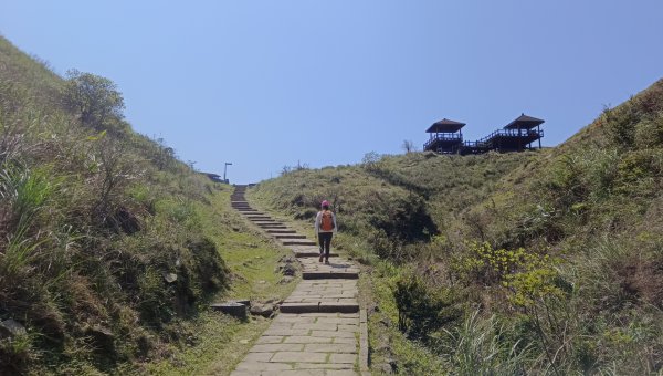 (姨婆趴趴走)第四十八集:新北草嶺古道（福隆車站-大里車站）2747686