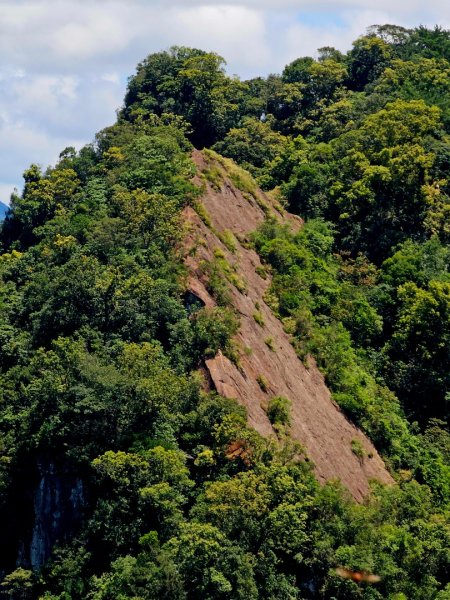 (二格山系)皇帝殿稜線-2025微笑山線大縱走尋寶集章任務2863496