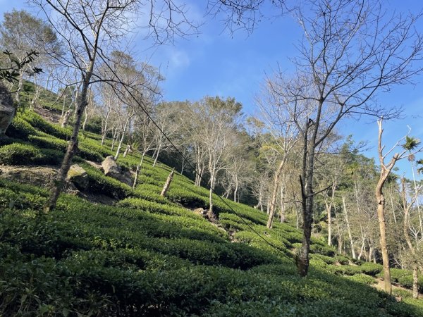 崁頭山&竹子尖山2964383