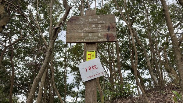 上上又下下的筆架連峰|西帽子岩|炙子頭山|峯花雪月2691196